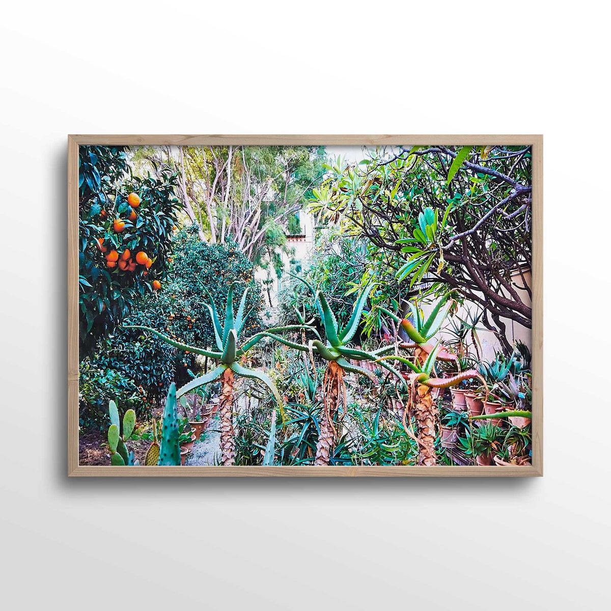 Plants-in-the-botanical-gardens-Sicily-Photo-Print