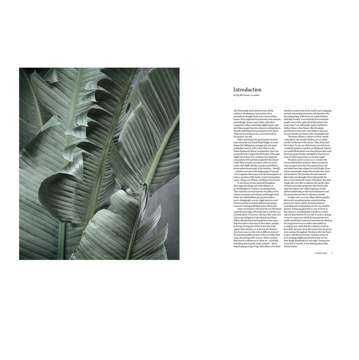 a-new-leaf-curated-houses-where-plants-meet-design