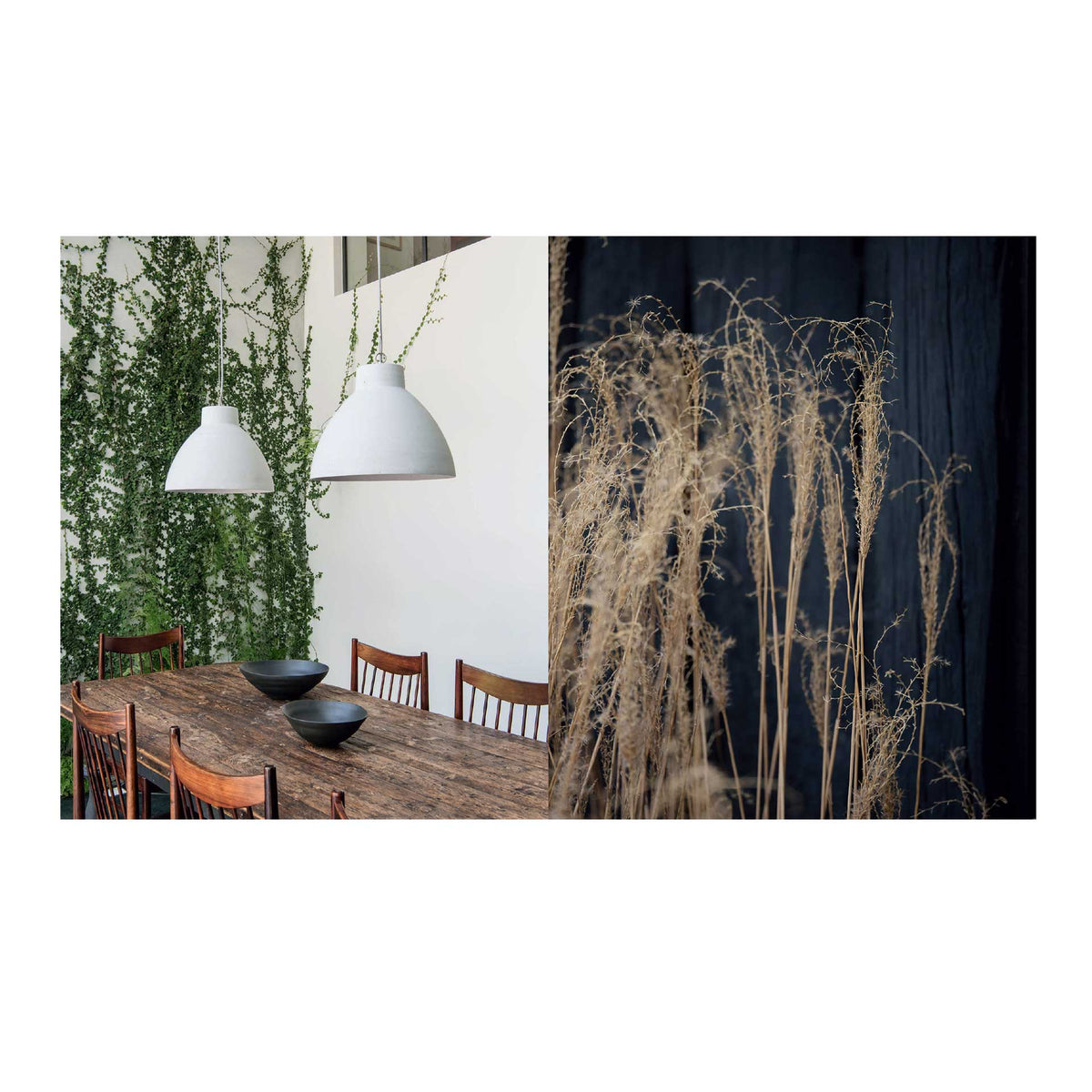 a-new-leaf-curated-houses-where-plants-meet-design