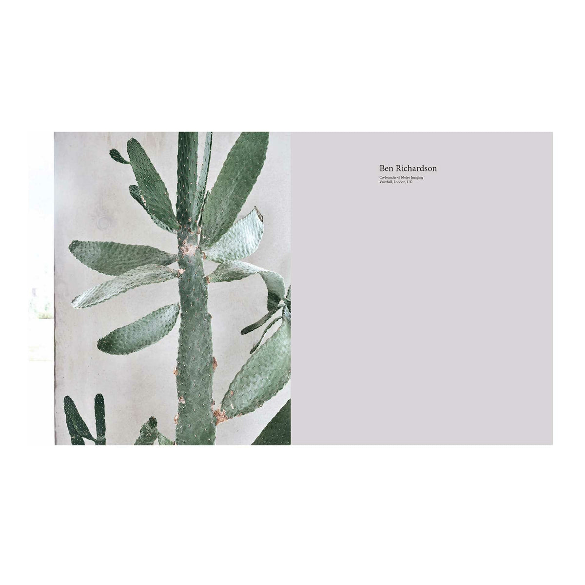 a-new-leaf-curated-houses-where-plants-meet-design