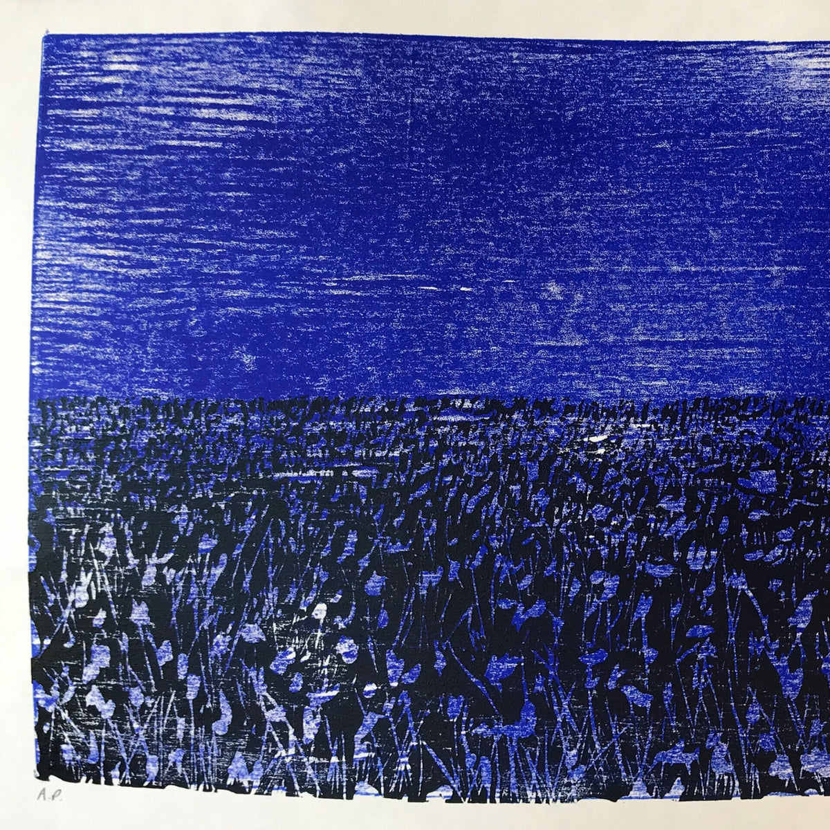 meadow-II