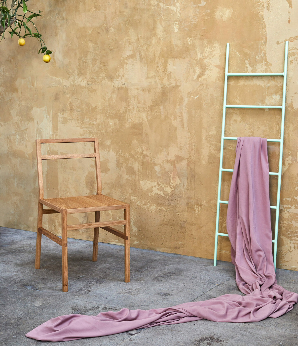 dining-chair-and-ladder