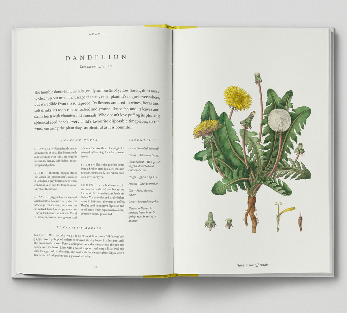 the-botanical-city