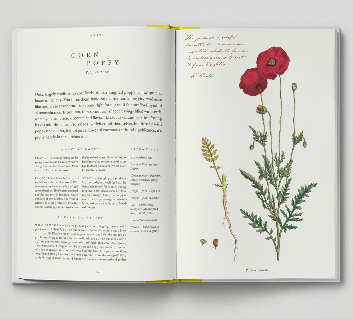 the-botanical-city