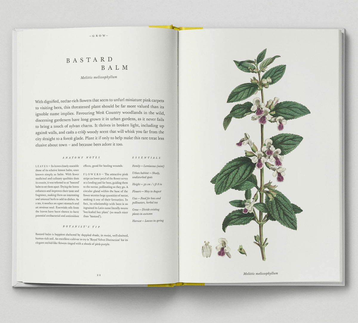 the-botanical-city