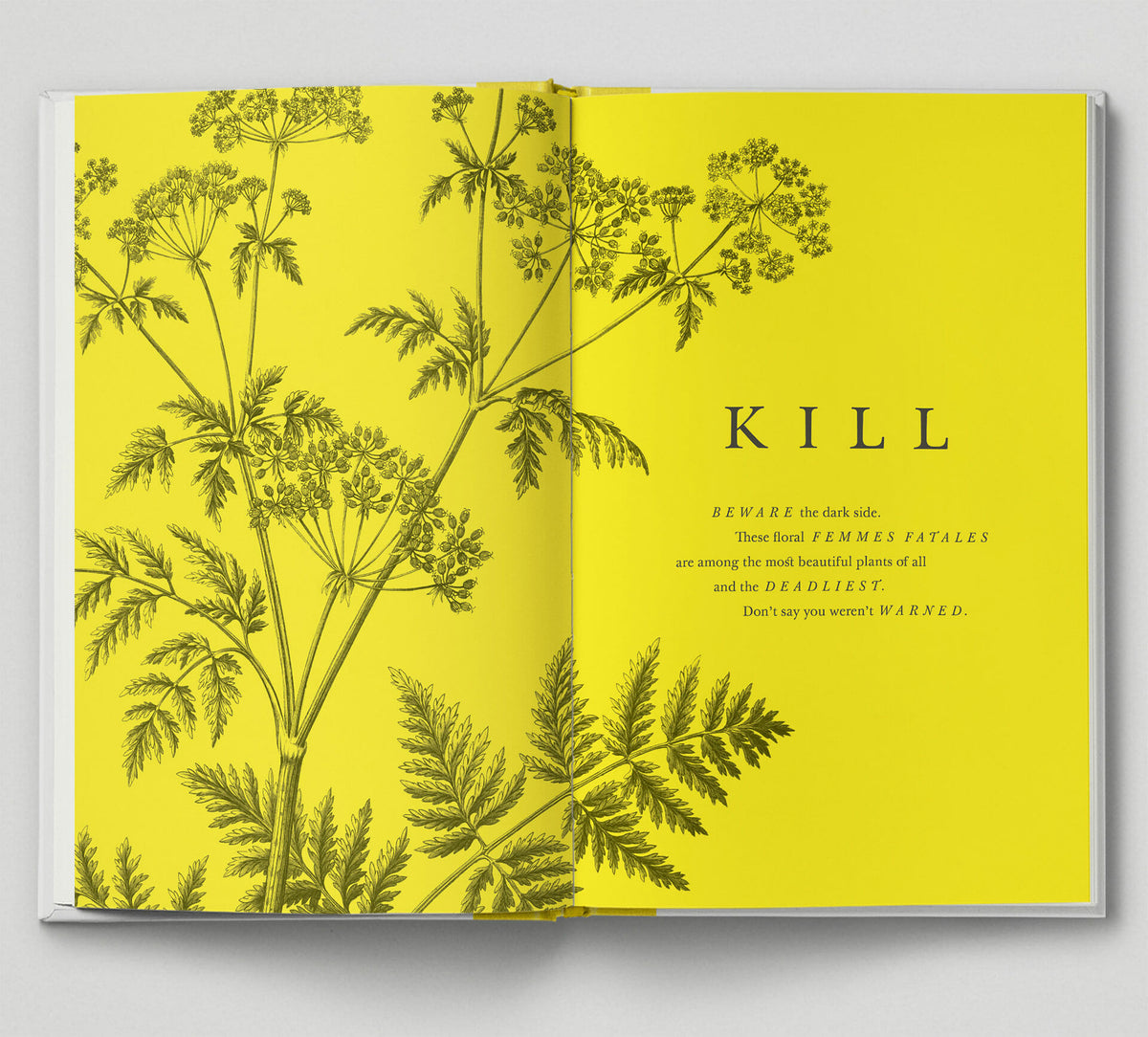 the-botanical-city