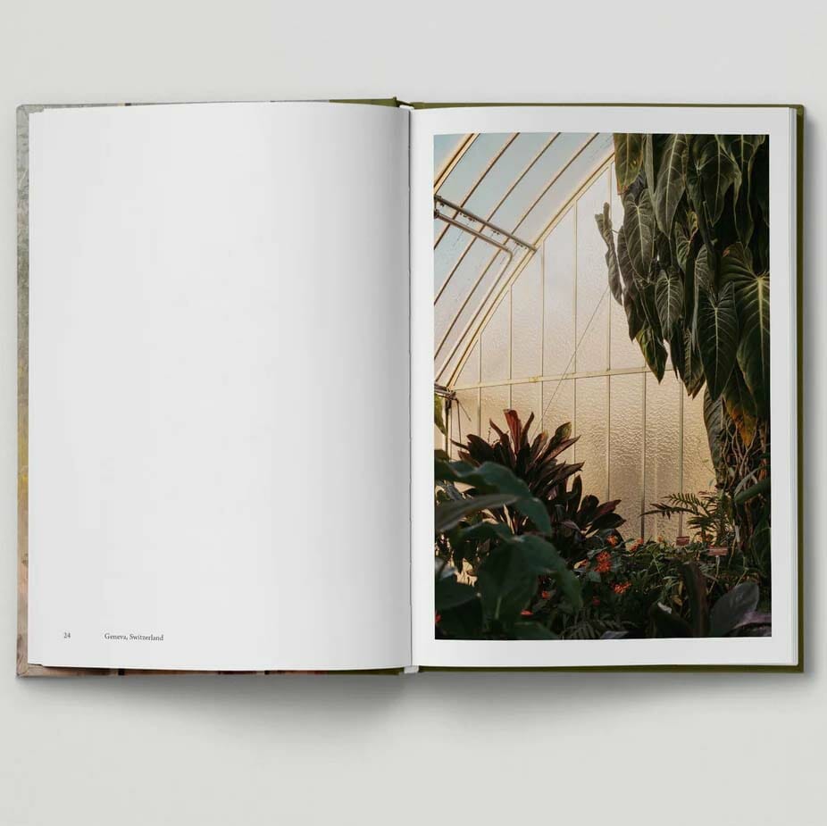 Botanical (Tales from the city)