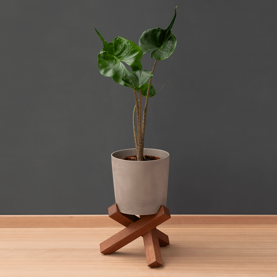 sarang-plant-pot-and-stand-medium
