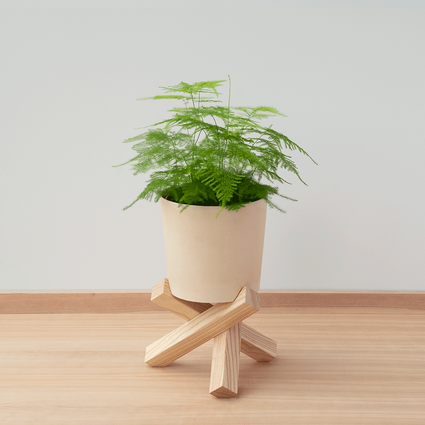 sarang-plant-pot-and-stand-medium