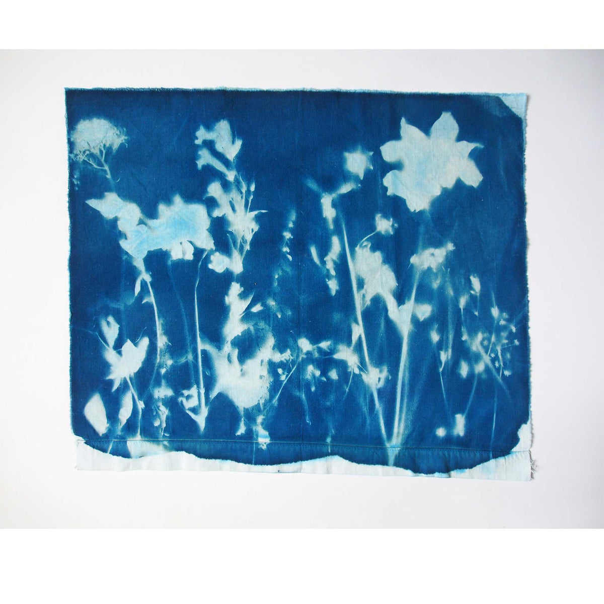 flowerbed-cyanotype