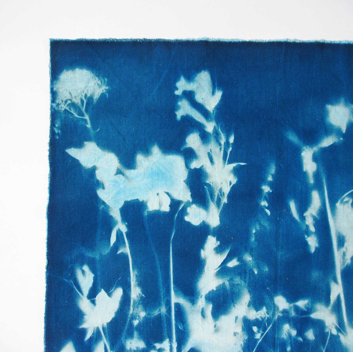 Flowerbed Cyanotype