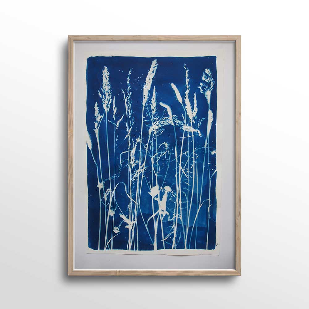 grasses-print