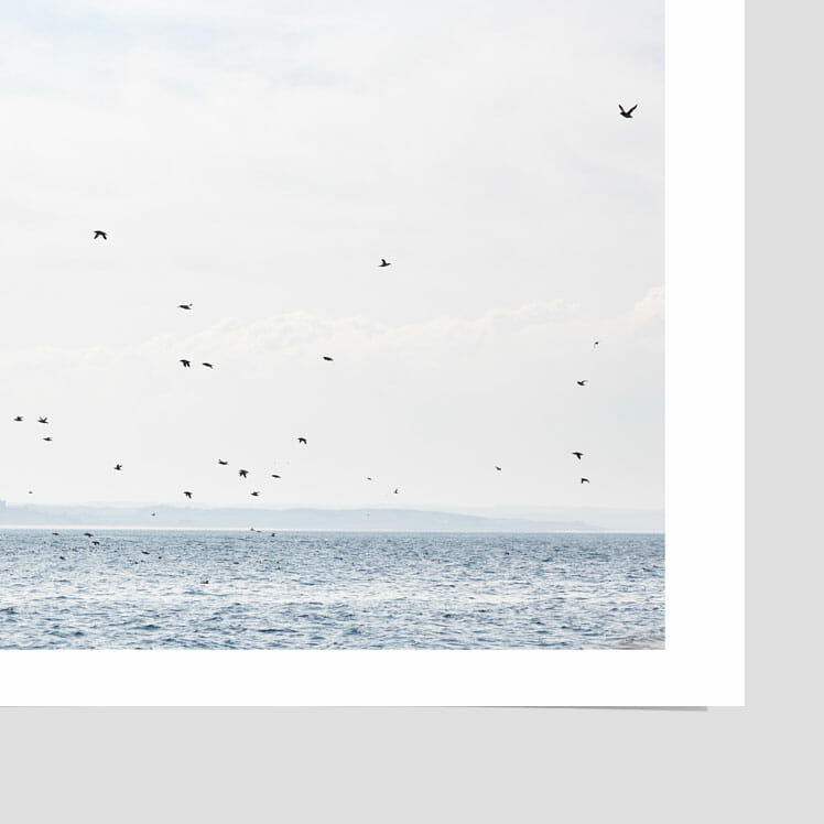 farne-islands-in-spring-photograph-print-photographer-home
