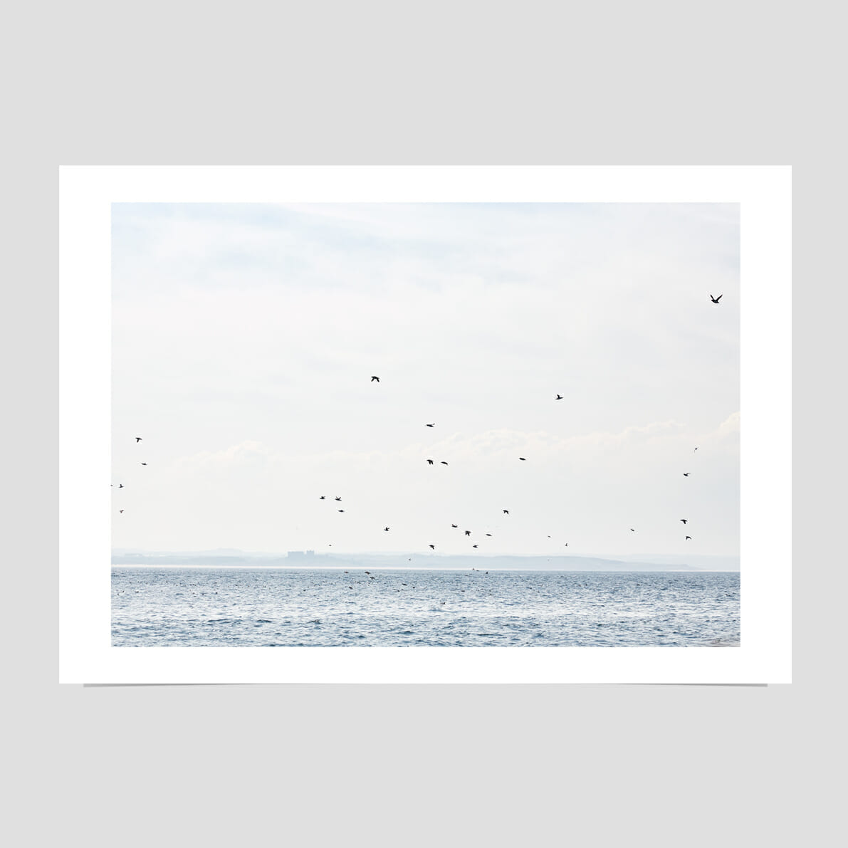 farne-islands-in-spring-giclée-photo-print-sea-sky-birds