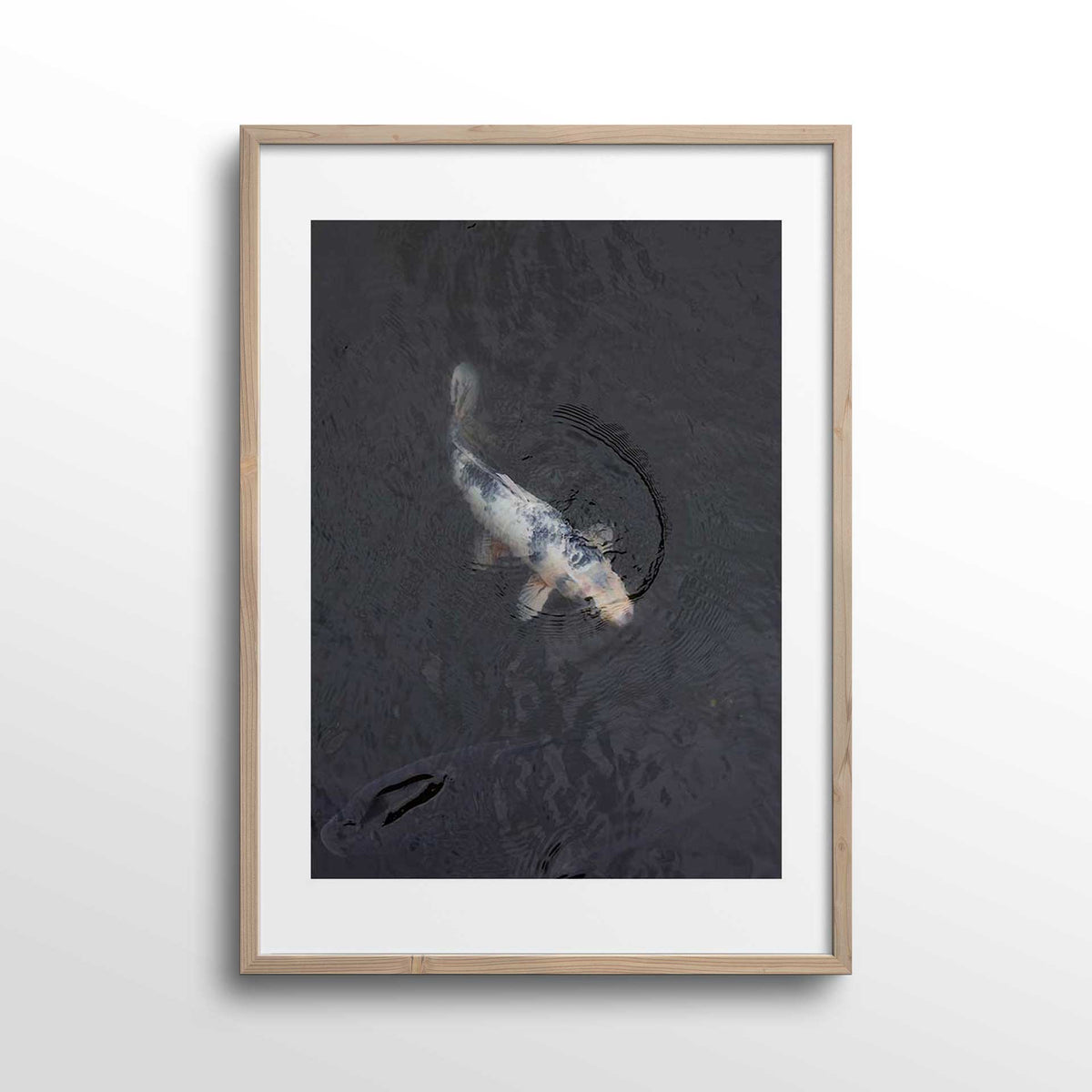 koi-photo-print