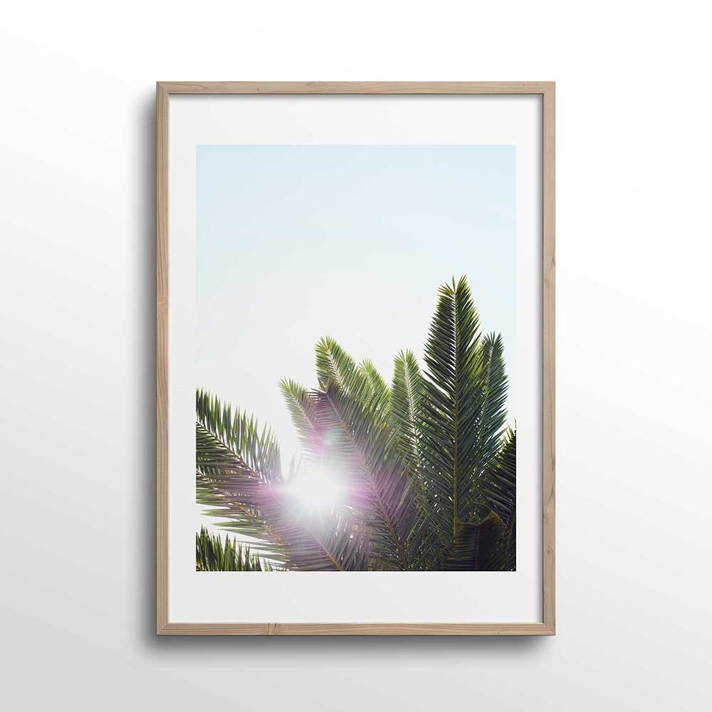Palms-Photo-Print