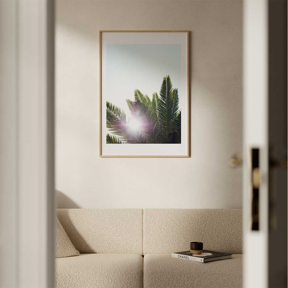 Palms Photo Print