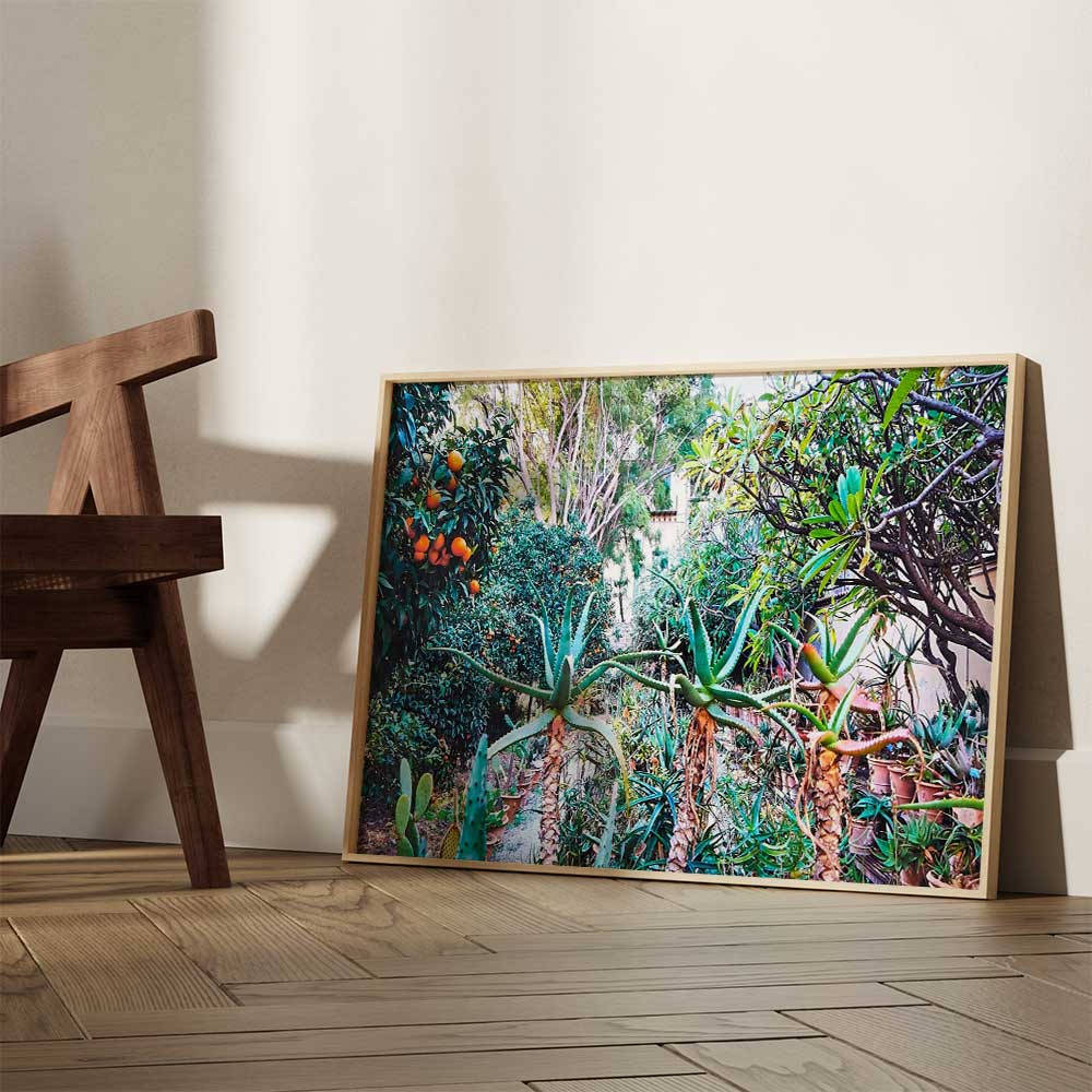Plants-in-the-botanical-gardens-Sicily-Photo-Print