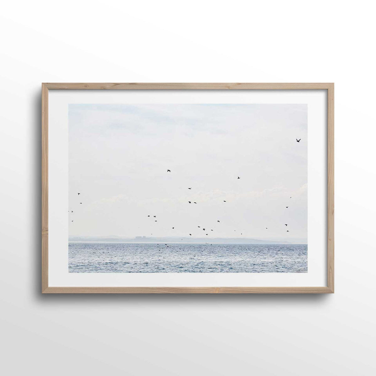 farne-islands-in-spring-photo-print