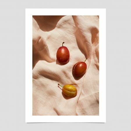 plums-giclee-photo-print-art-red-yellow-in shadowow-