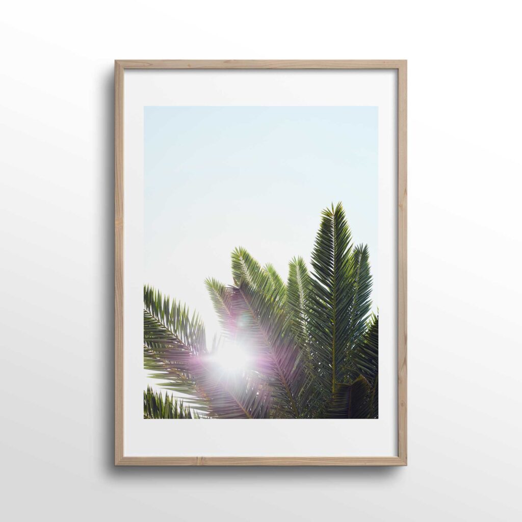 palms-print