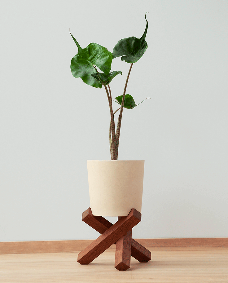 sarang-plant-pot-and-stand-medium